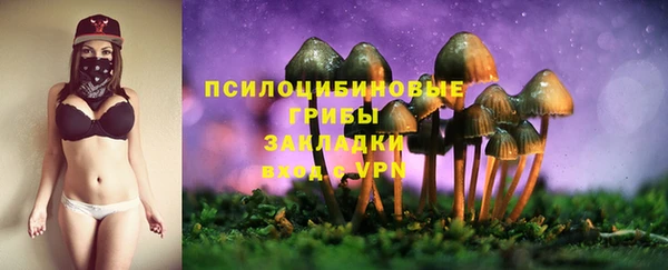 стафф Аркадак