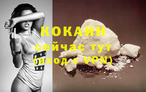 стафф Аркадак